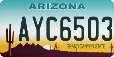 AZ license plate AYC6503