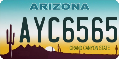 AZ license plate AYC6565