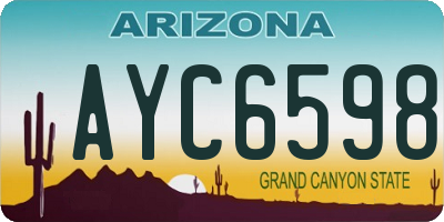 AZ license plate AYC6598