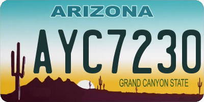 AZ license plate AYC7230