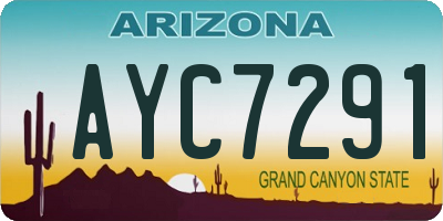 AZ license plate AYC7291