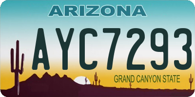AZ license plate AYC7293
