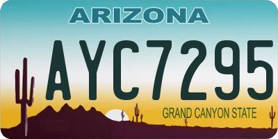 AZ license plate AYC7295