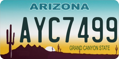 AZ license plate AYC7499