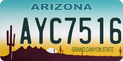 AZ license plate AYC7516