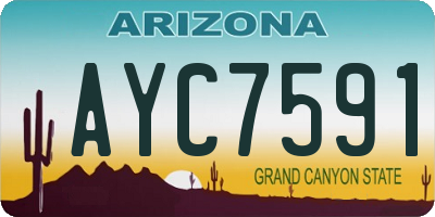 AZ license plate AYC7591