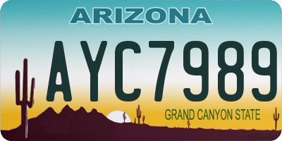 AZ license plate AYC7989
