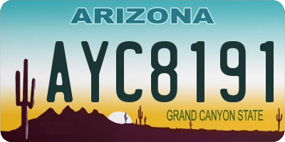 AZ license plate AYC8191