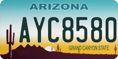AZ license plate AYC8580