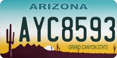 AZ license plate AYC8593