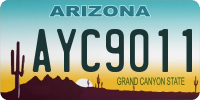 AZ license plate AYC9011