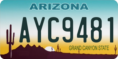AZ license plate AYC9481
