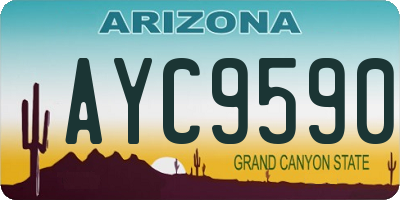 AZ license plate AYC9590