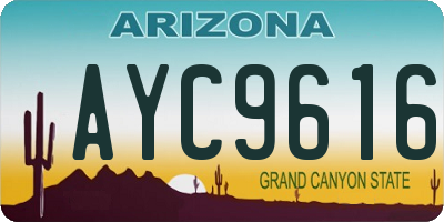 AZ license plate AYC9616
