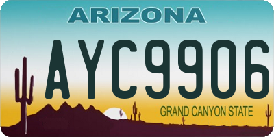 AZ license plate AYC9906