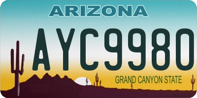 AZ license plate AYC9980
