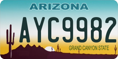 AZ license plate AYC9982