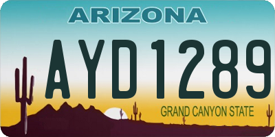 AZ license plate AYD1289