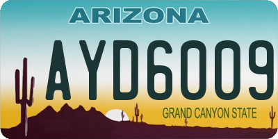 AZ license plate AYD6009