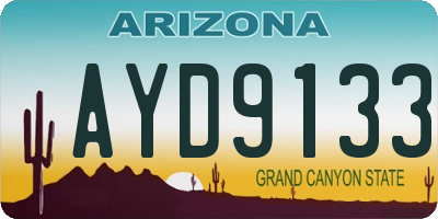 AZ license plate AYD9133