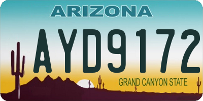 AZ license plate AYD9172