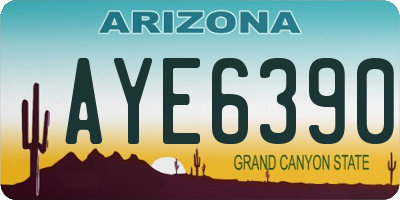 AZ license plate AYE6390
