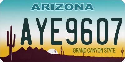 AZ license plate AYE9607