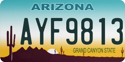 AZ license plate AYF9813