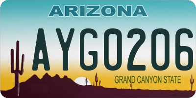 AZ license plate AYG0206