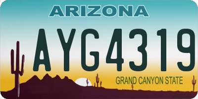 AZ license plate AYG4319