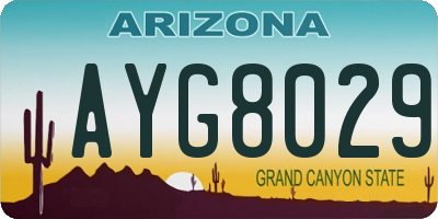 AZ license plate AYG8029