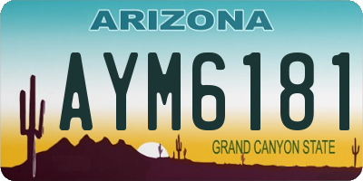 AZ license plate AYM6181