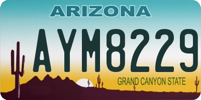 AZ license plate AYM8229