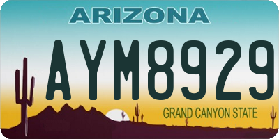 AZ license plate AYM8929