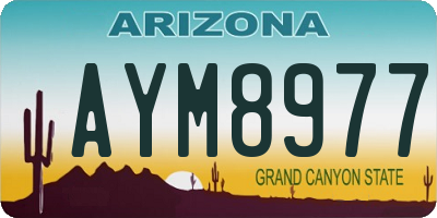 AZ license plate AYM8977