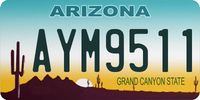 AZ license plate AYM9511