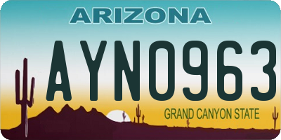 AZ license plate AYN0963