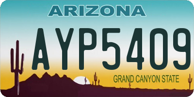 AZ license plate AYP5409