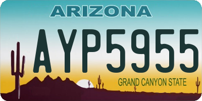 AZ license plate AYP5955