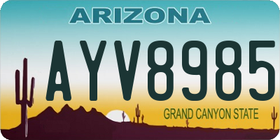AZ license plate AYV8985