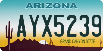 AZ license plate AYX5239