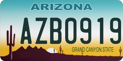 AZ license plate AZB0919