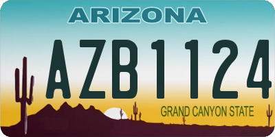 AZ license plate AZB1124