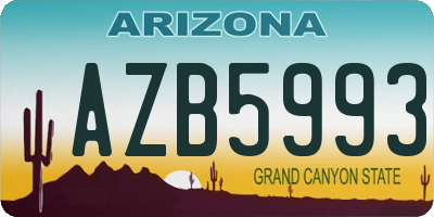 AZ license plate AZB5993