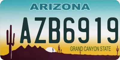 AZ license plate AZB6919