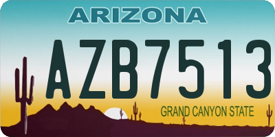 AZ license plate AZB7513