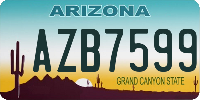 AZ license plate AZB7599