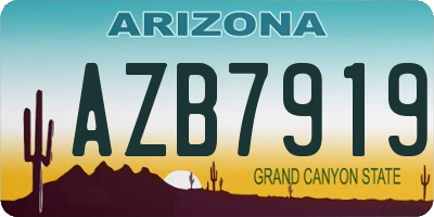 AZ license plate AZB7919