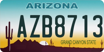 AZ license plate AZB8713