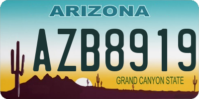 AZ license plate AZB8919